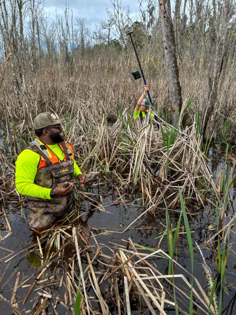 Survey crew conducting wetland fieldwork and land surveying in marsh vegetation