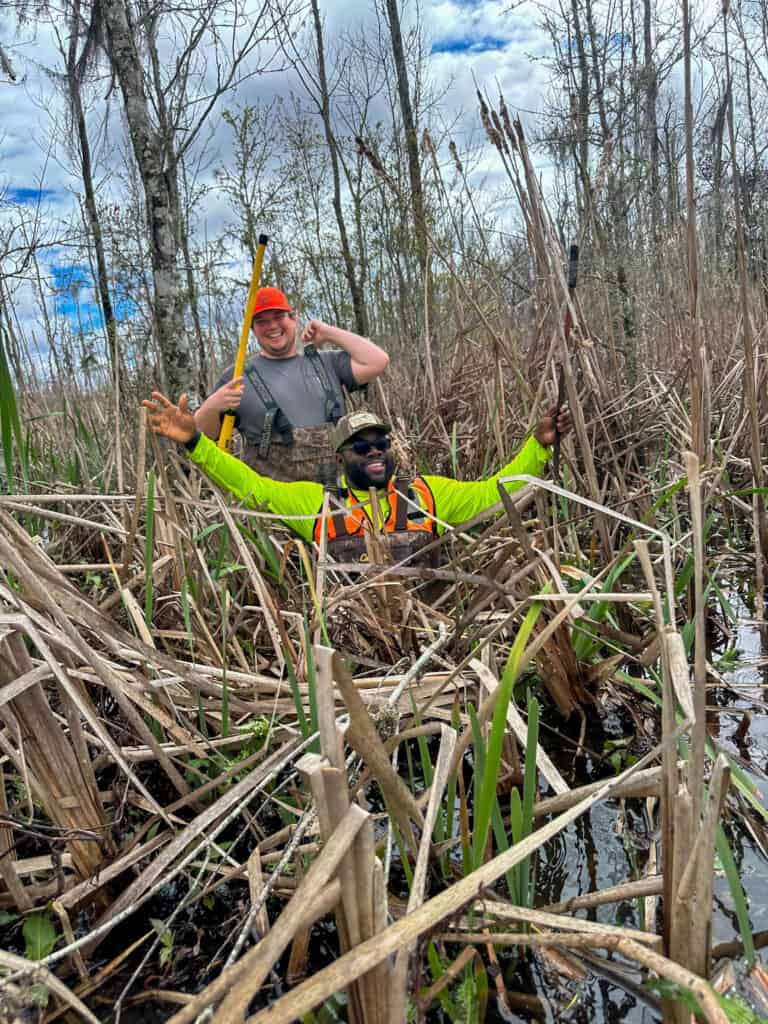 Survey crew conducting wetland fieldwork and land surveying in marsh vegetation