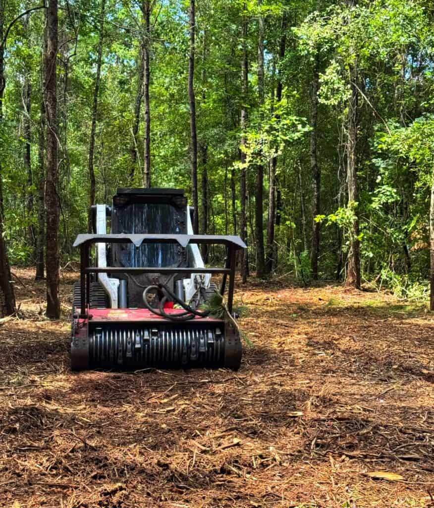 Forestry mulching equipment clearing underbrush and vegetation as part of land management services in the South Carolina Lowcountry
